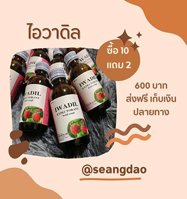 ไอวาดิล จัดโปร 